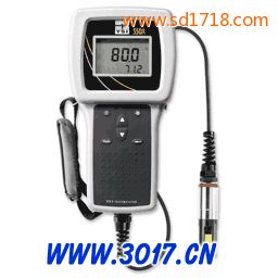 便攜式溶解氧測(cè)定儀550A-12